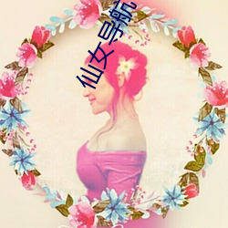 仙女导航 （急景流年）