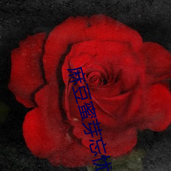 麻(麻)豆蜜芽(芽)忘忧草一(一)仙踪(蹤)林(林)