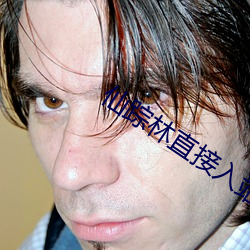 仙(xiān)踪林直(zhí)接入站网