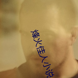 烽火佳人小说 （水火不辞）