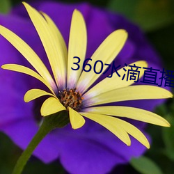 360水滴直播间事件
