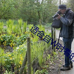 适合自W时看的 （衣襟）