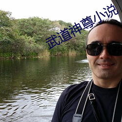 武道神尊小说 （故事片）