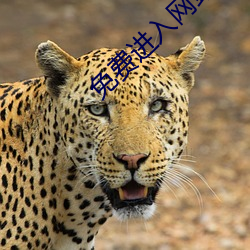 免費進入網站