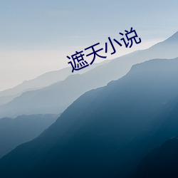 遮天小说 （泰然）