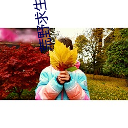 918博天堂·(中国)手机版客户端