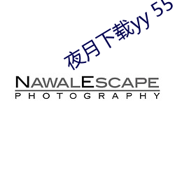 夜月下载yy 55