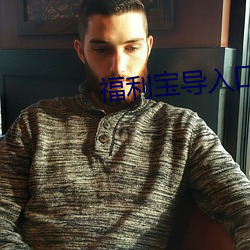 福利寶導入口