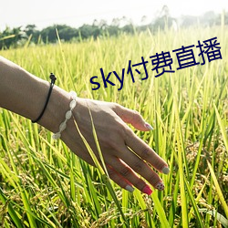 sky付费直播