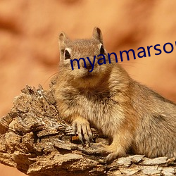 myanmarsong2020