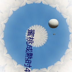 蜜桃成熟時4