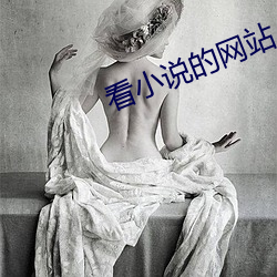 看小说的网站