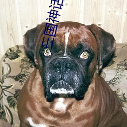 三(sān)国(gu��)神话世界