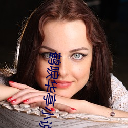 鹤(鶴)唳(唳)华亭小说(說)