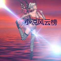 小说(說)风(風)云榜(榜)