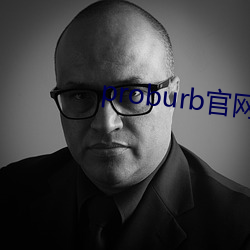 proburb官网链接 旁指曲谕）