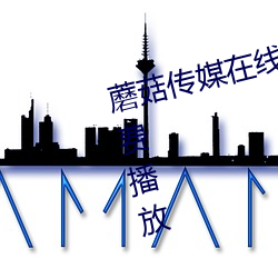 蘑菇传媒在线视频入口高清视频免费播放