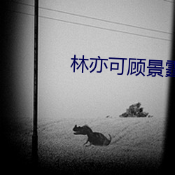 林亦可顾景(jng)霆(tíng)