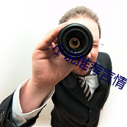 小说推荐言情