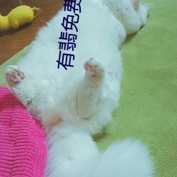 918博天堂·(中国)手机版客户端