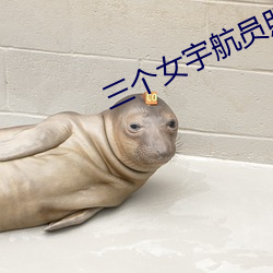 AG真人平台(中国)官方网站