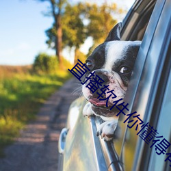 直播软件你懂得有哪些
