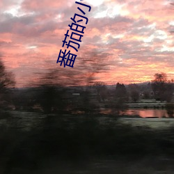 番茄的小说 （买笑追欢）