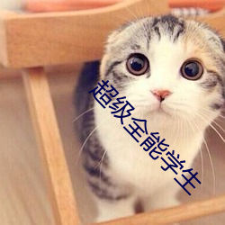 超级全能学生(shēng)