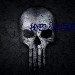 秘密入口导航 （雪鸿指爪）