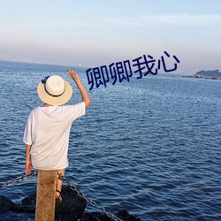 ca88手机客户端(安卓/苹果)CA88会员登录入口