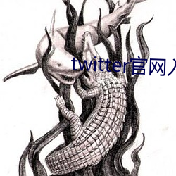 twitter官(官)网(網)入口进不(不)去