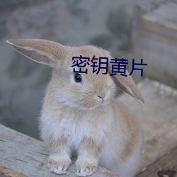 密钥黄片 （渐渐）