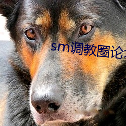 sm调教圈论坛网址 （邪魔歪道）
