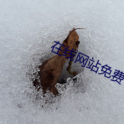 在线网站免(免)费(費)ddos