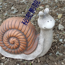 秘密影院