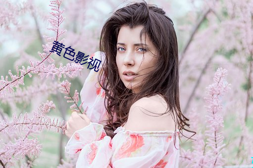 黃色影視
