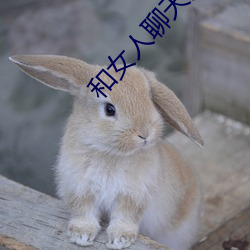 和女人聊天的技巧