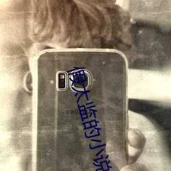 假太监的(的)小说推(推)荐