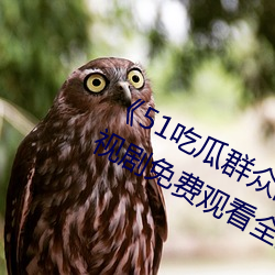 《51吃瓜群众网热心的朝阳群众电视剧免费观看全集