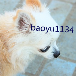 baoyu1134