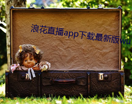 浪花直播app下载最新版wu