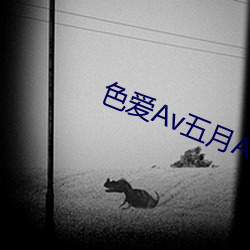 色爱Av五月Av色爱