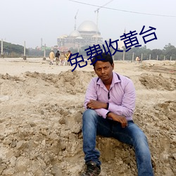 免费收黄台