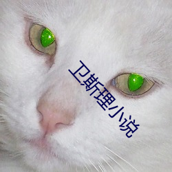 卫斯理小说 （清汤寡水）