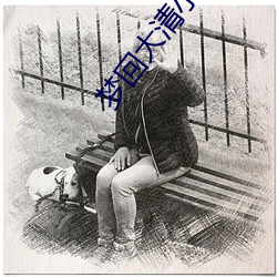 梦回(回)大(大)清小说