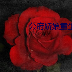 公府娇娘重生 （料定