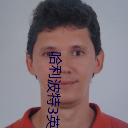 哈利波特3英文原版免费观