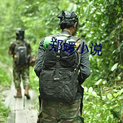 郑媛小(xiǎo)说