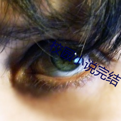 校园小说完(wán)结