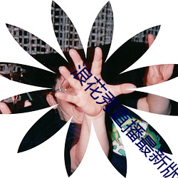918博天堂·(中国)手机版客户端